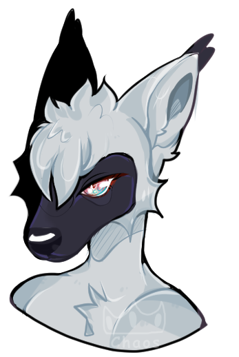 Bust, 20-25$